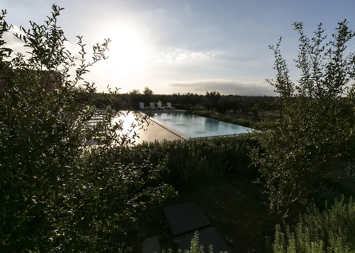 Corte Olea 4* Paceco