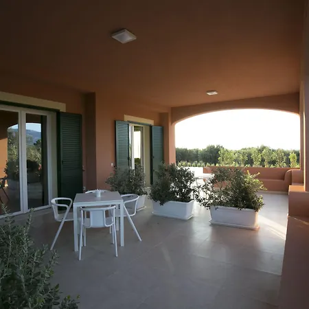 Corte Olea פאצ'קו